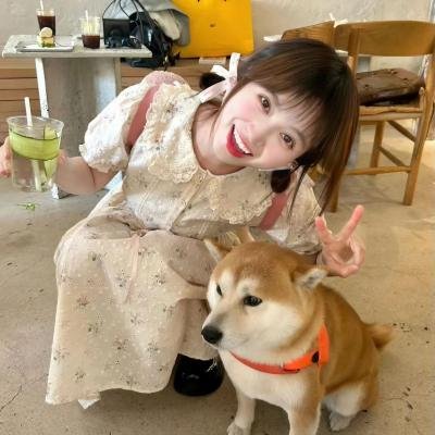 盲点 第五季